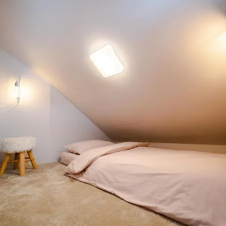Solonetul Nou 1164 Guest house